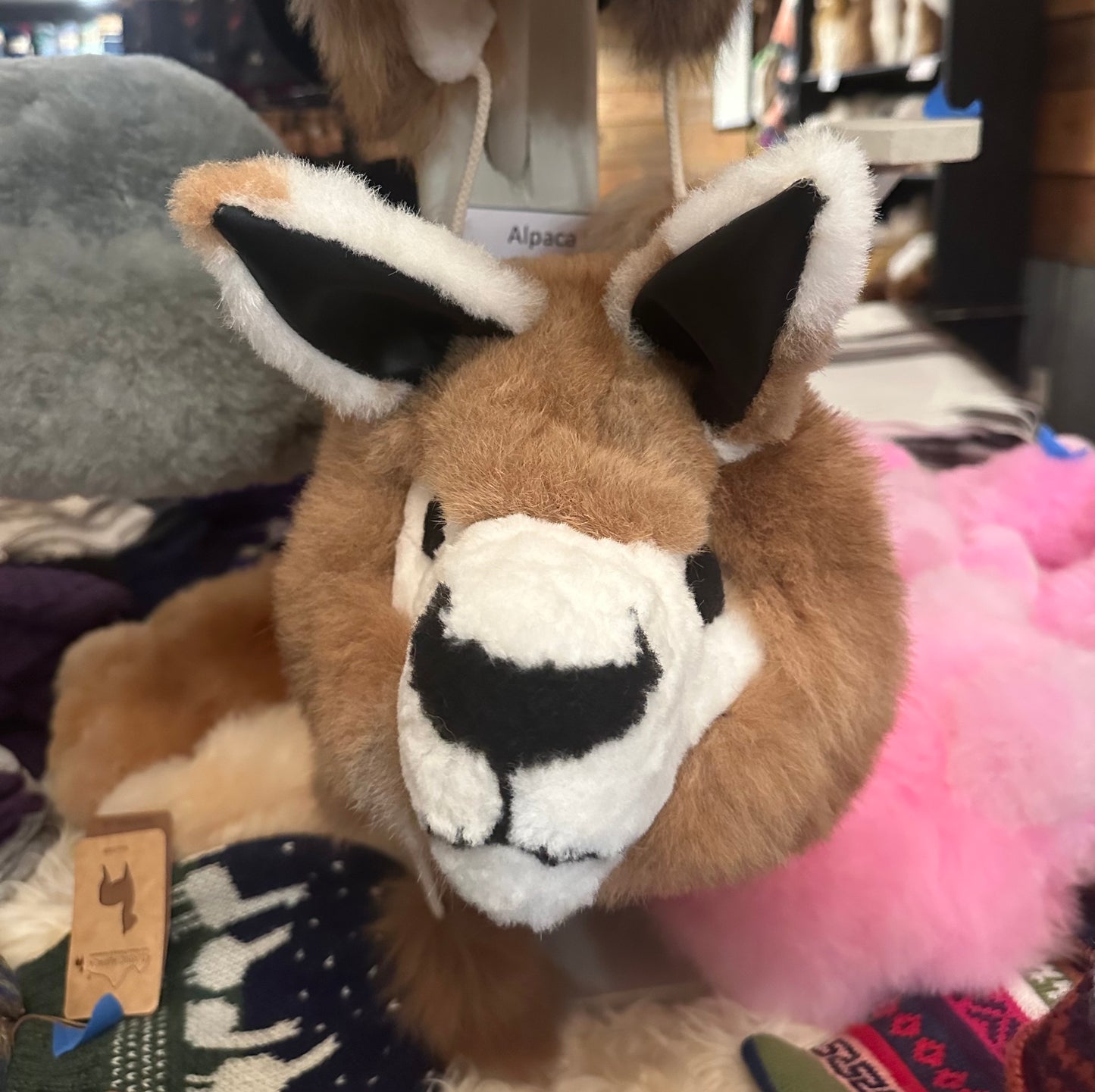 Hat- Look like an ALPACA
