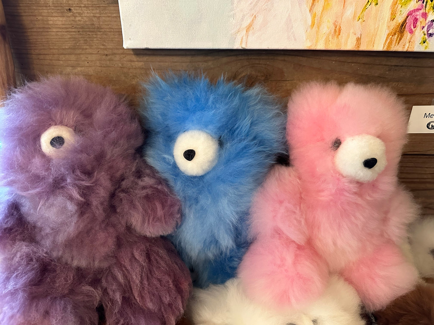 Toys-Large Bears in Fun Colors!