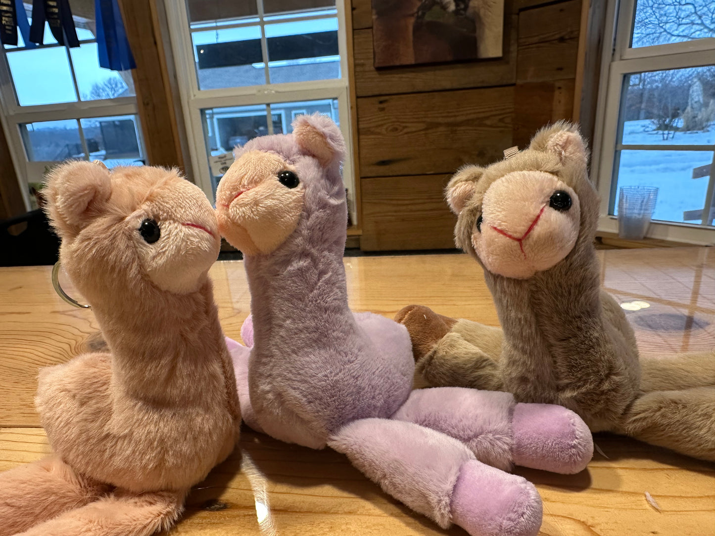 Little Alpaca Key Chains