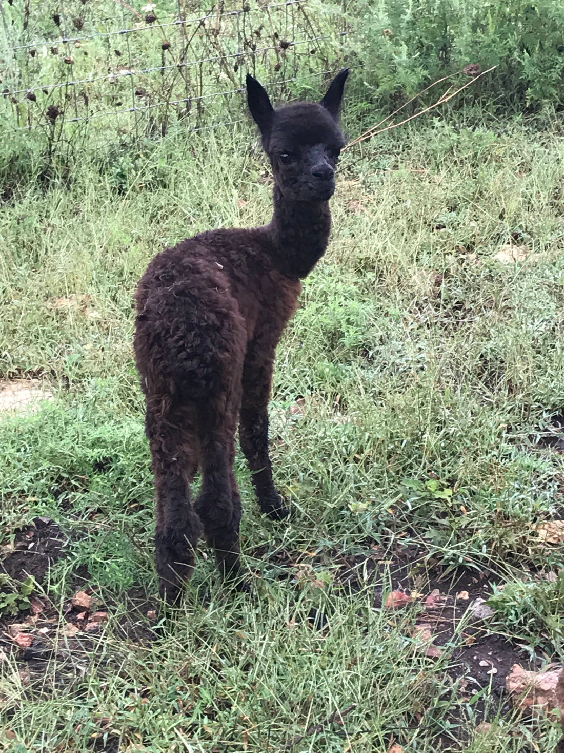 First Baby of the Year!