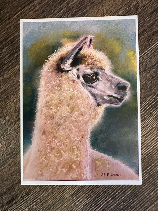 Art-Alpaca Notecard