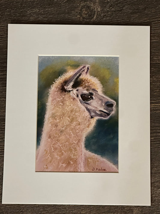 ALPACA PRINT