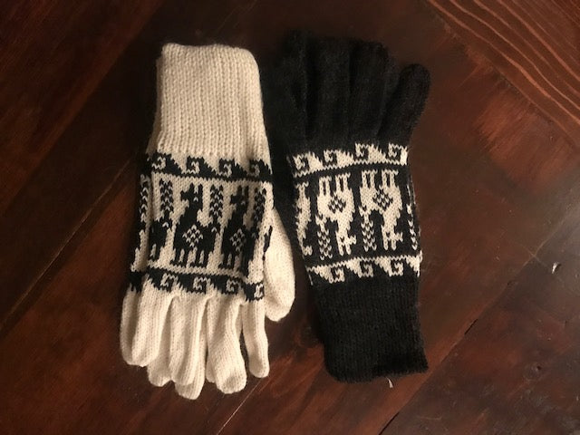 Gloves-Adorable Inca Print Gloves